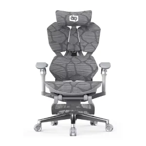 CHAISE XALLKING X5PRO-402-JT GRIS