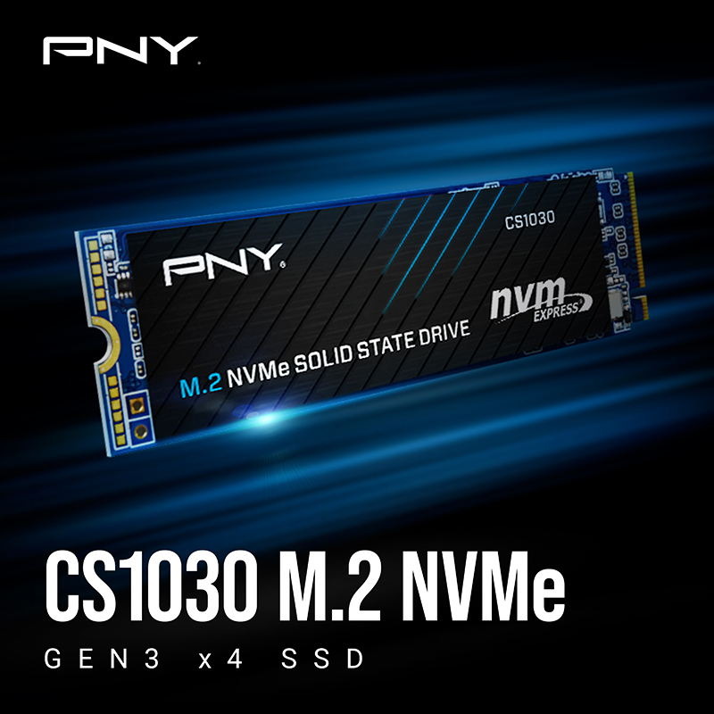 PNY CS1030 250GB – Image 2